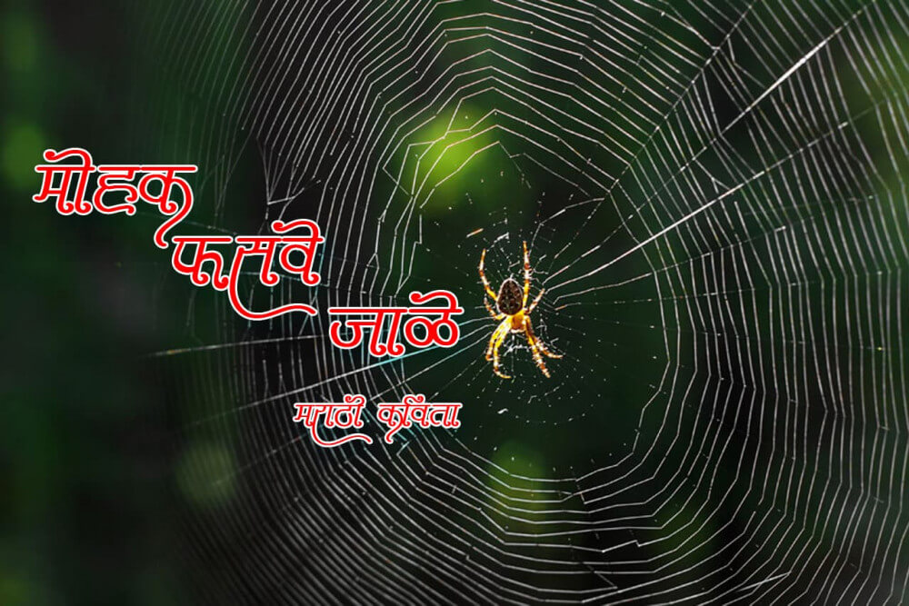 मोहक फसवे जाळे